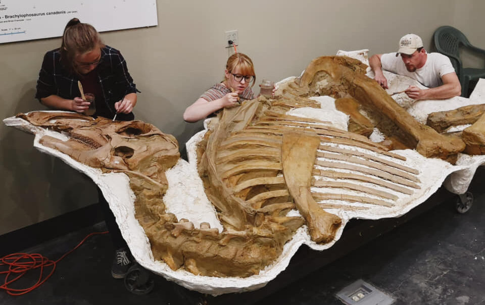 Volunteer Great Plains Dinosaur Museum and Field Station