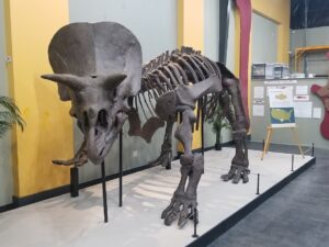 herb the triceratops in malta montana